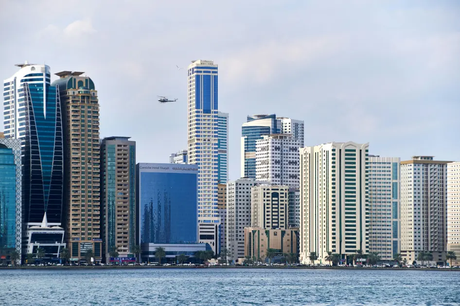 Dubai South Area Guide